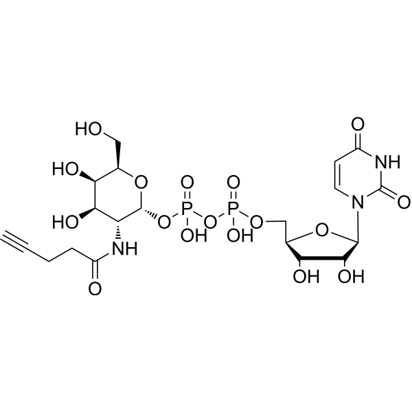 UDP-D-GalNAlk 1608127-25-8